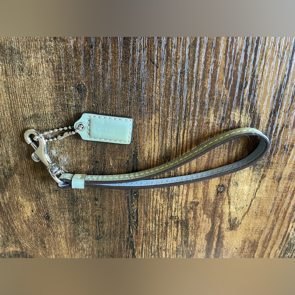 Coach Pistachio Green & Light Blue Small Tag Silver Clasp and Wrist Strap